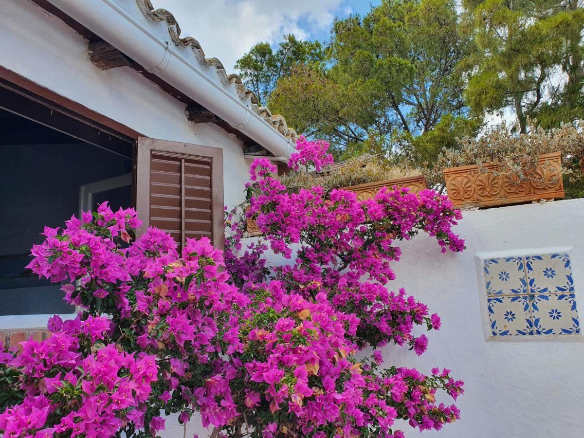 Villa Tonnara San Vito Lo Capo Exterior photo
